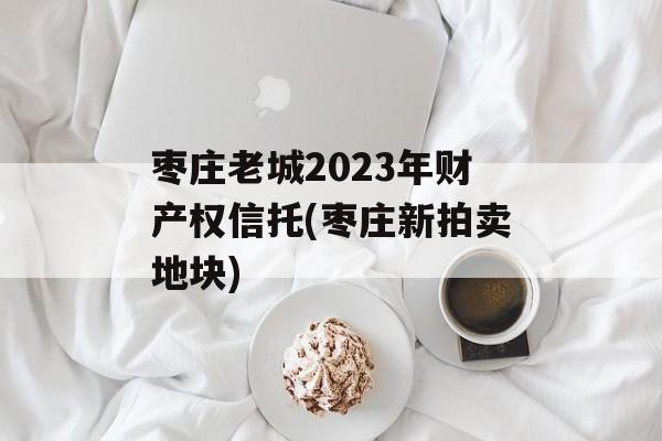 枣庄老城2023年财产权信托(枣庄新拍卖地块)