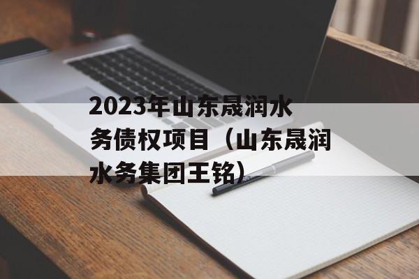 2023年山东晟润水务债权项目（山东晟润水务集团王铭）