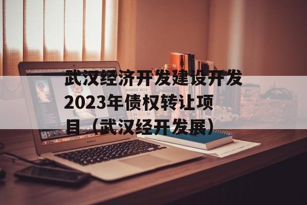 武汉经济开发建设开发2023年债权转让项目（武汉经开发展）