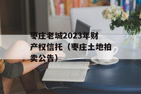 枣庄老城2023年财产权信托（枣庄土地拍卖公告）