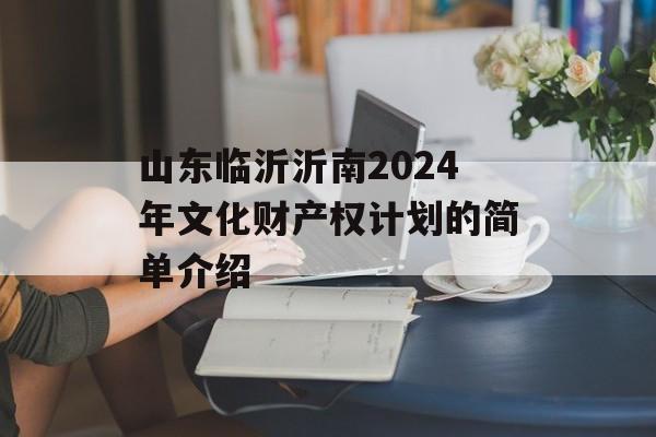 山东临沂沂南2024年文化财产权计划的简单介绍