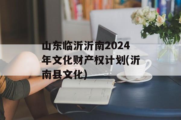山东临沂沂南2024年文化财产权计划(沂南县文化)