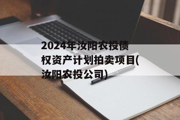 2024年汝阳农投债权资产计划拍卖项目(汝阳农投公司)