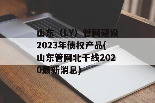 山东（LY）管网建设2023年债权产品(山东管网北干线2020最新消息)