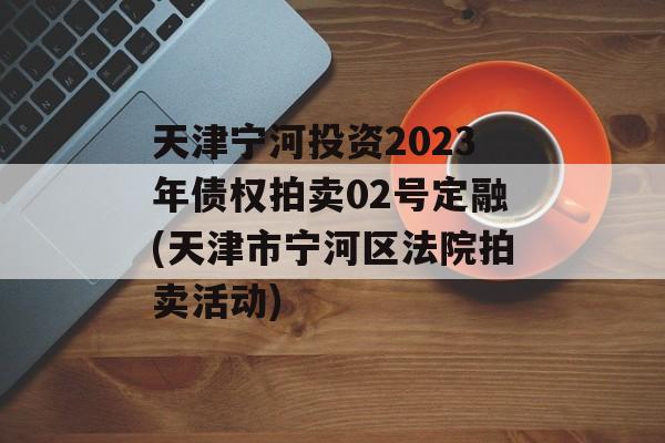 天津宁河投资2023年债权拍卖02号定融(天津市宁河区法院拍卖活动)